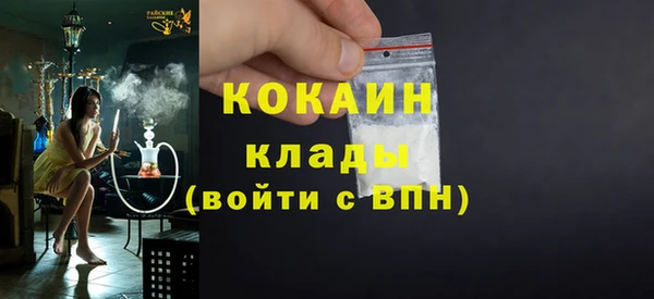 сатива Арсеньев