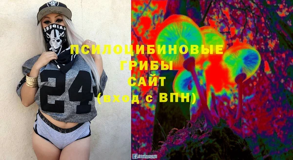 сатива Арсеньев