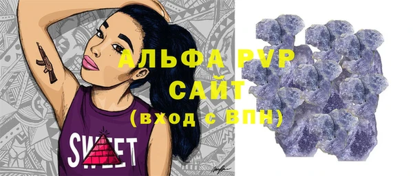 крисы Баксан