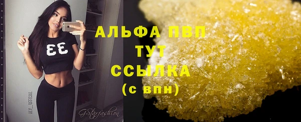 сатива Арсеньев