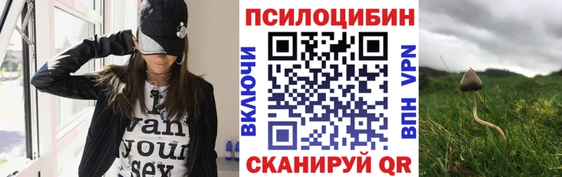 Галлюциногенные грибы Cubensis  Грязовец 